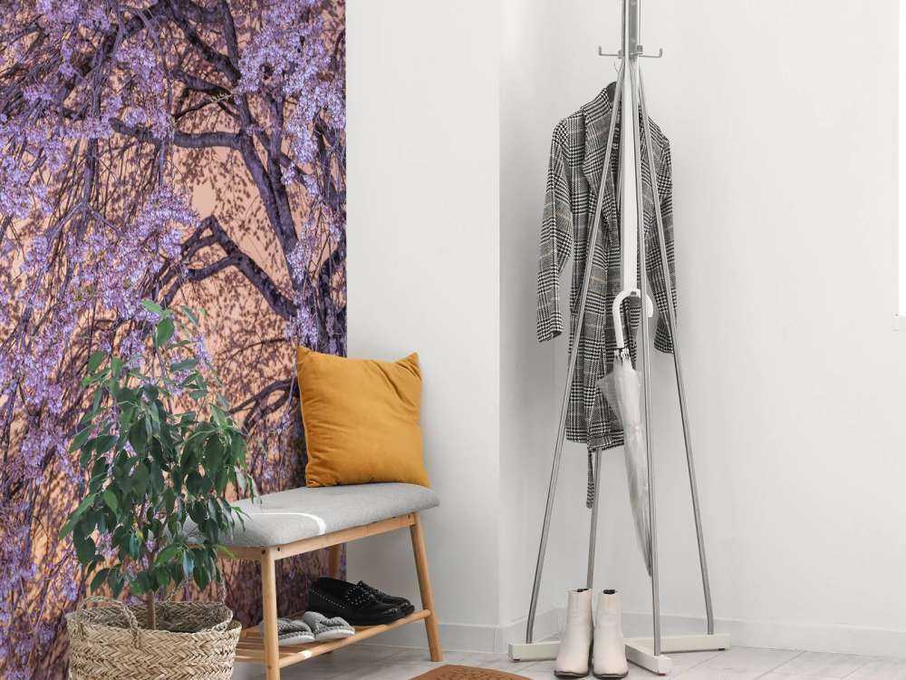 Kwiaty o zachodzie słońca