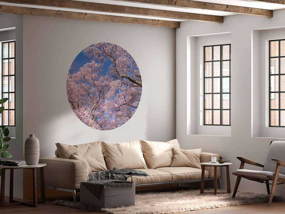 Kwiaty na tle błękitnego nieba