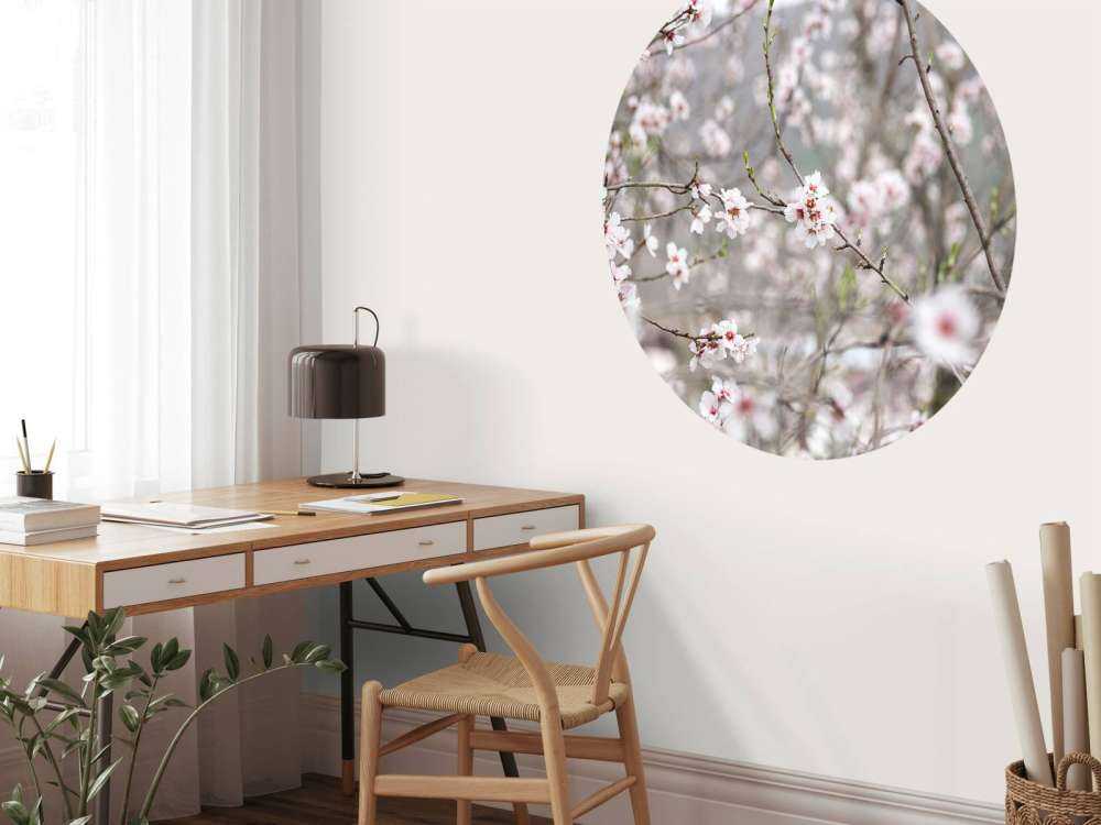 Różowo-białe kwiaty