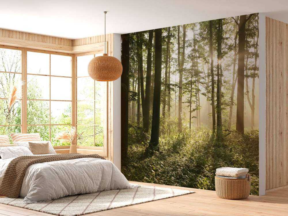 Mglisty las liściasty