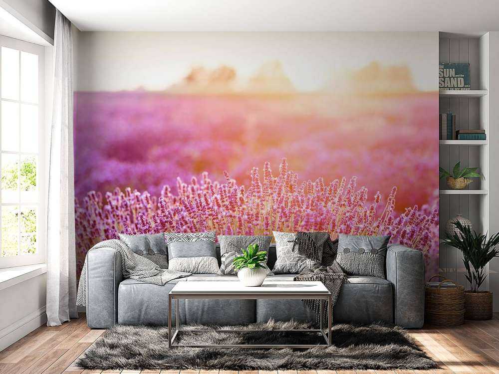 Zbliżenie na kwiaty lawendy