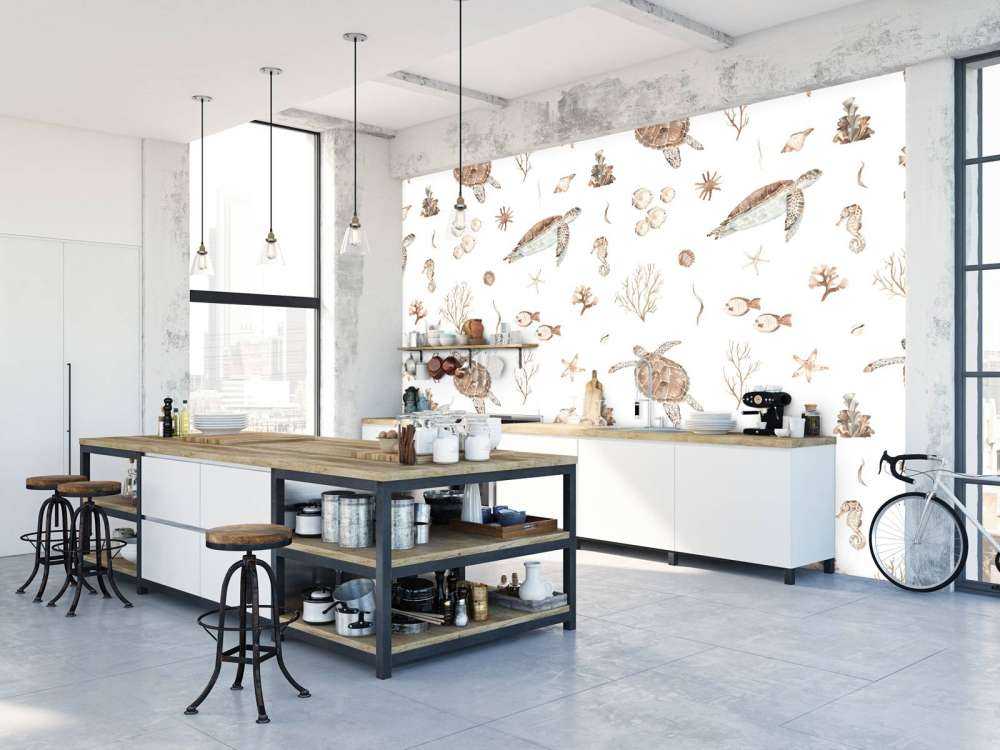 Muszle i morskie stworzenia