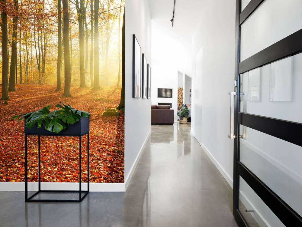 Jesienny poranek w lesie