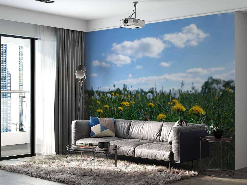 Żółte mniszki lekarskie