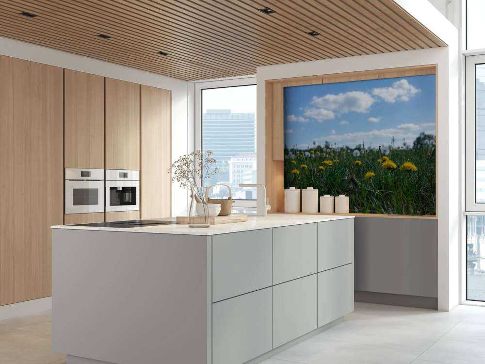 Żółte mniszki lekarskie