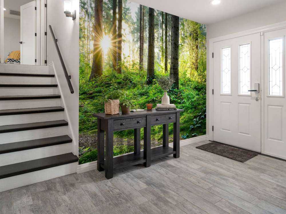 Leśna panorama na wiosnę