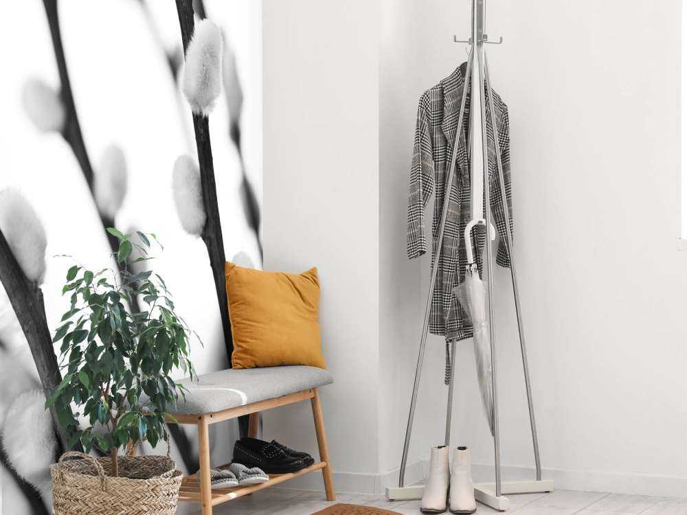 Wierzba leśna w czerni i bieli