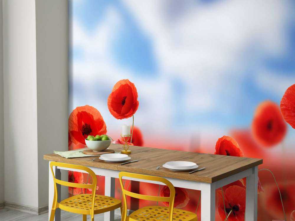 Błękitne niebo i czerwone maki