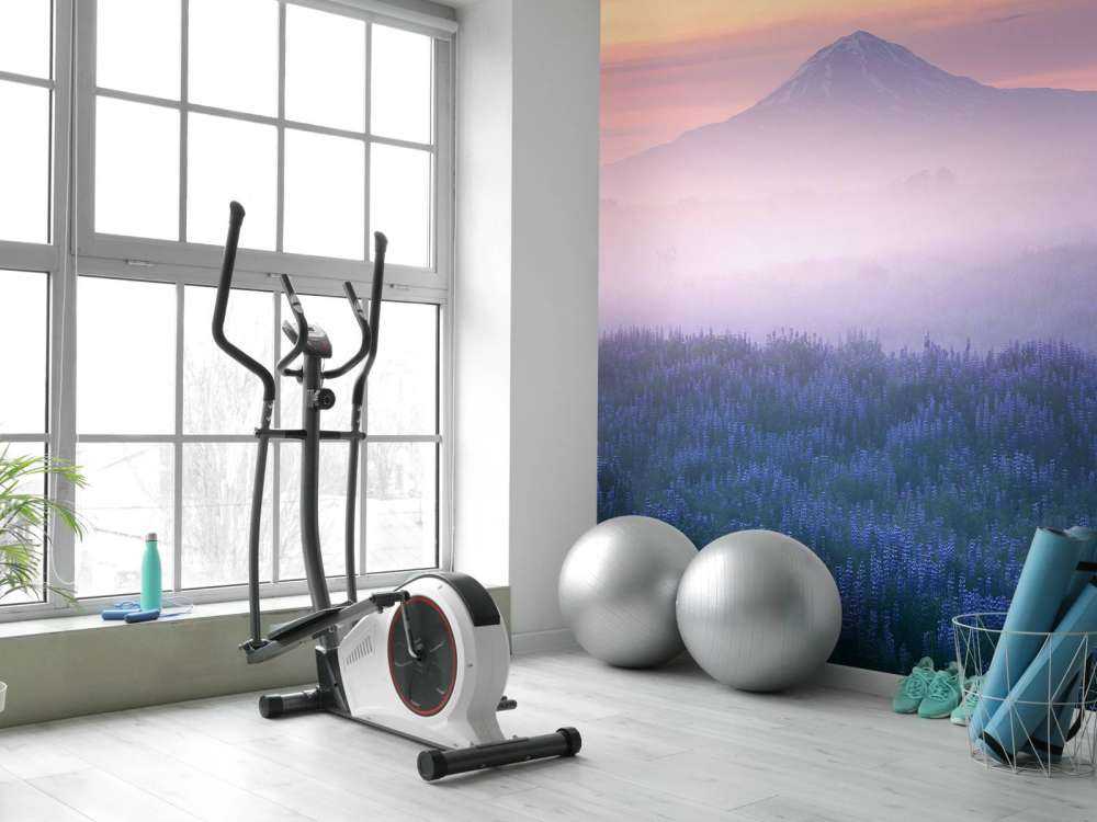 Iceland - Morning Calmness