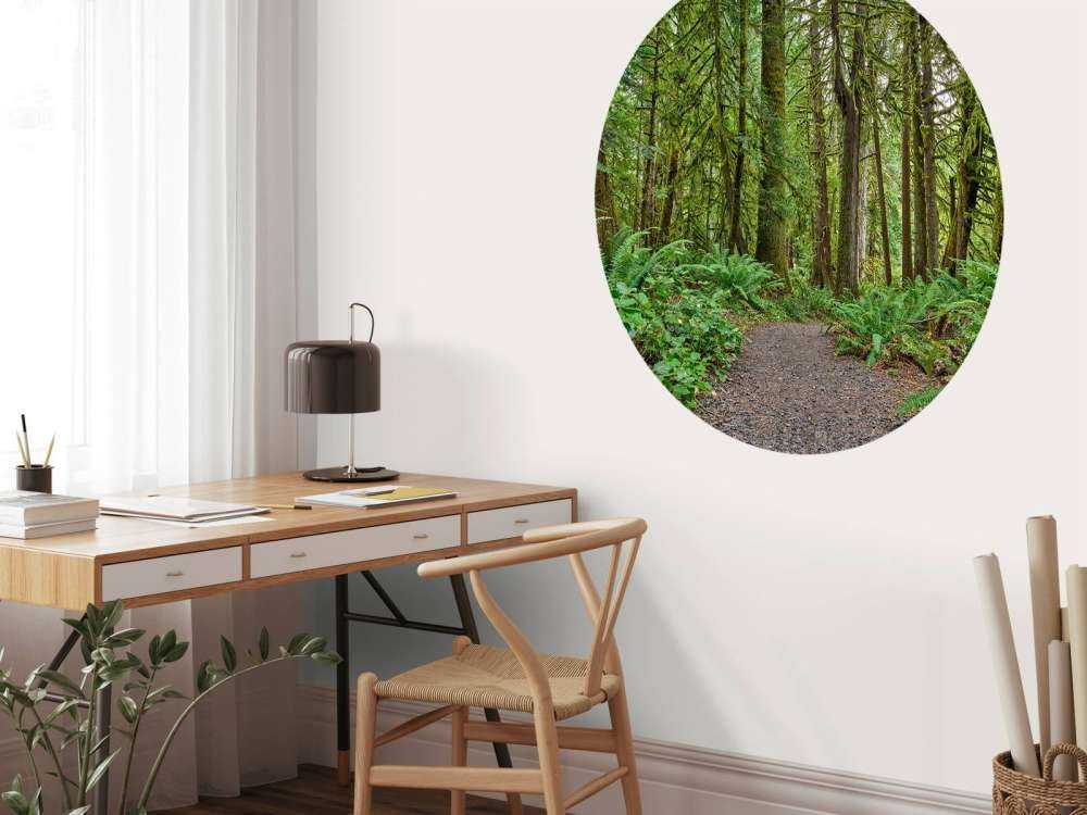 Ścieżka z kamieniem przez las