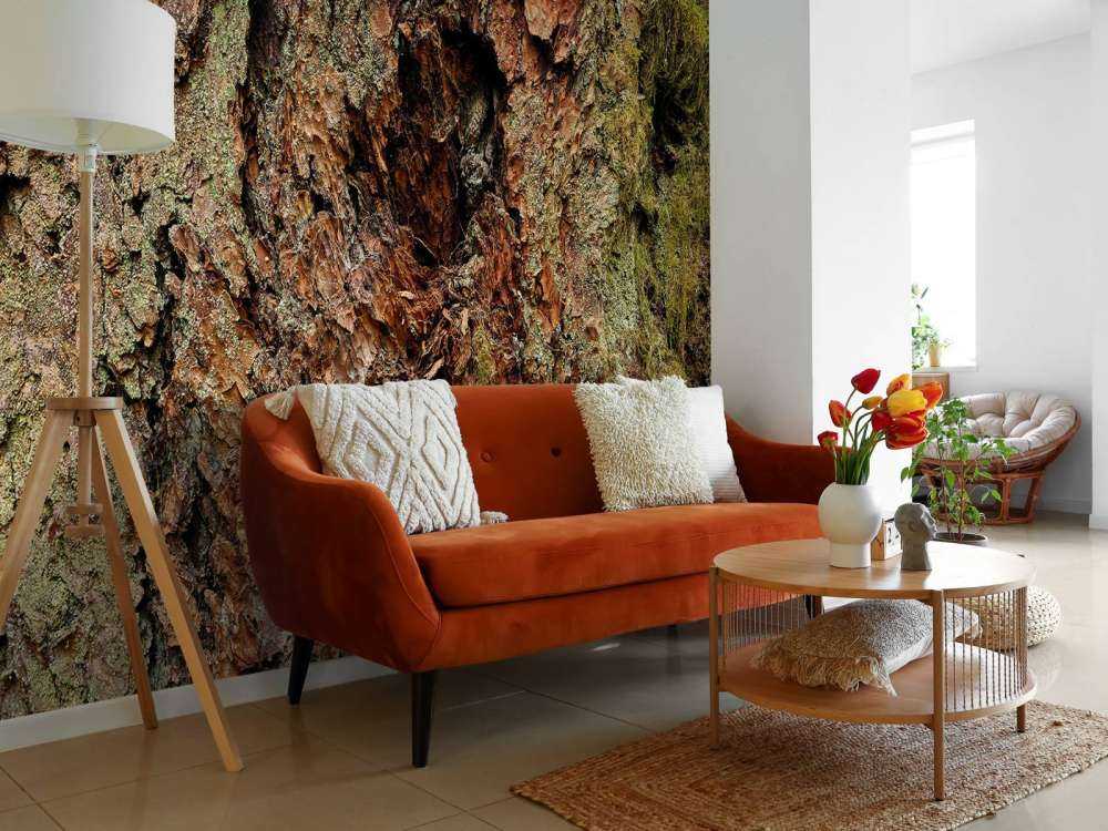 Kora drzewna stare drzewo