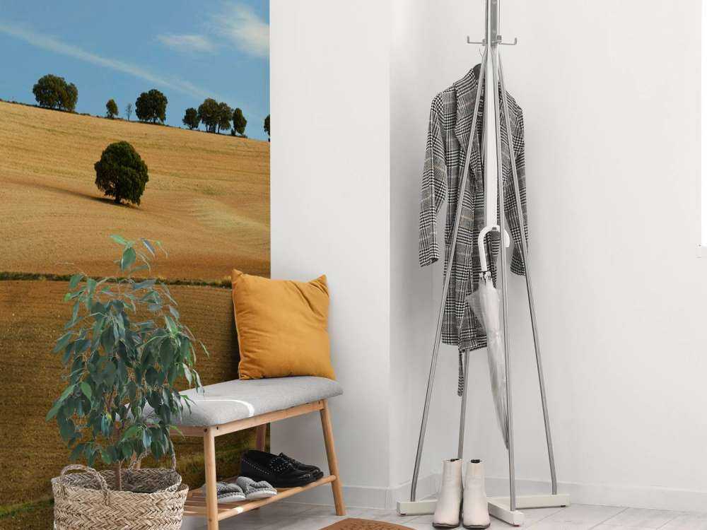 Drzewa w hiszpańskim krajobrazie