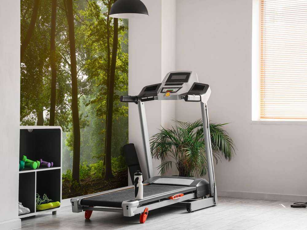 Las w porannym słońcu