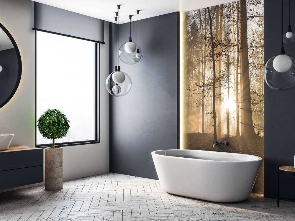 Słońce w mglistym lesie