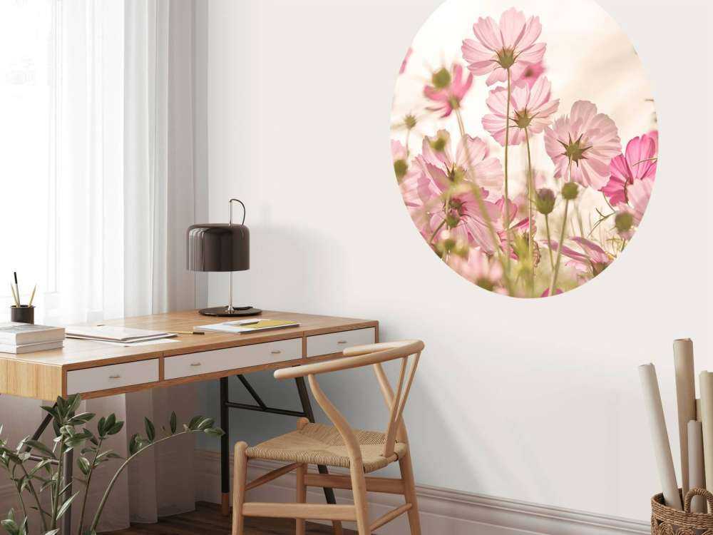 Piękny ogródek kwiatowy