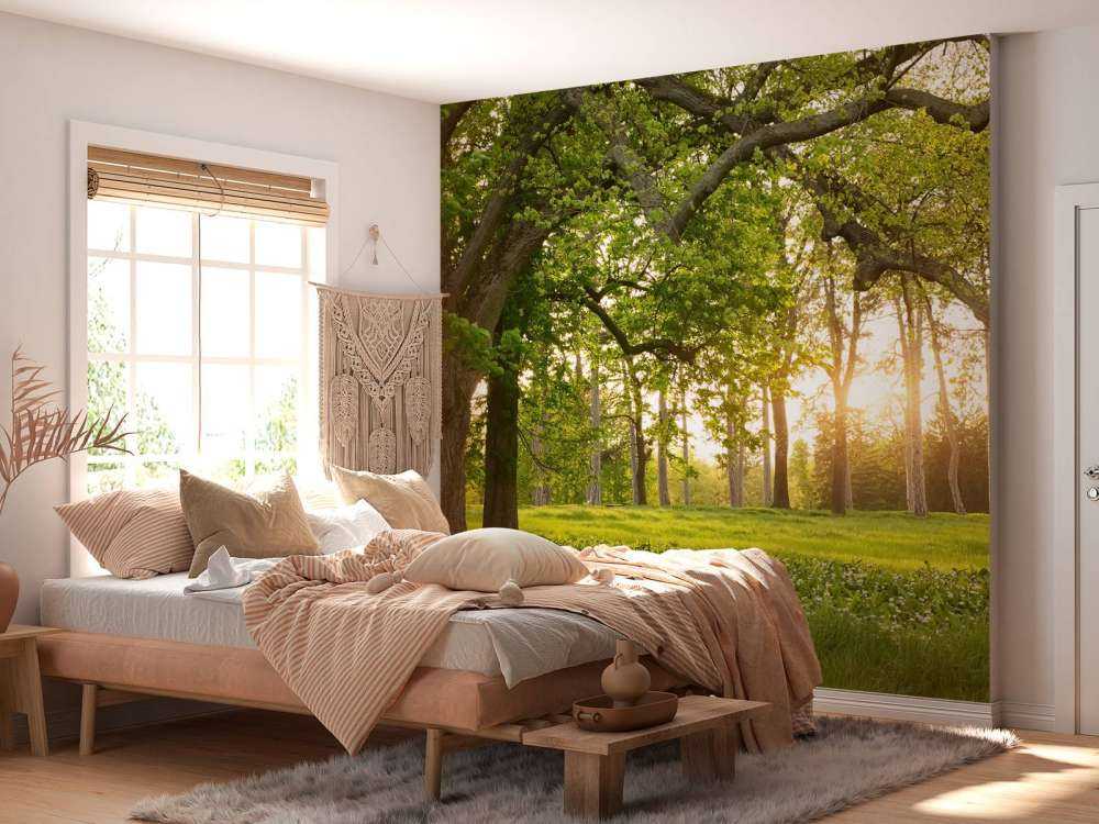 Otwarta przestrzeń w lesie