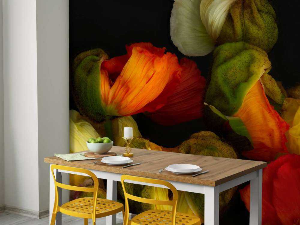 Rozwijające się maki