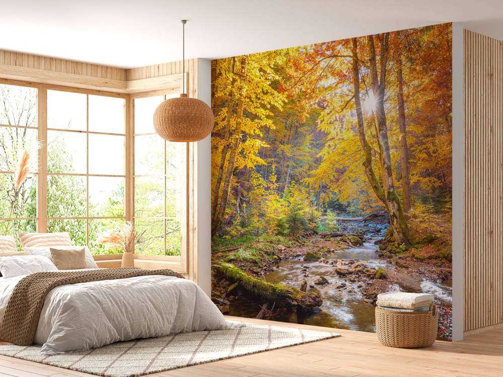 Jesień w dzikim lesie