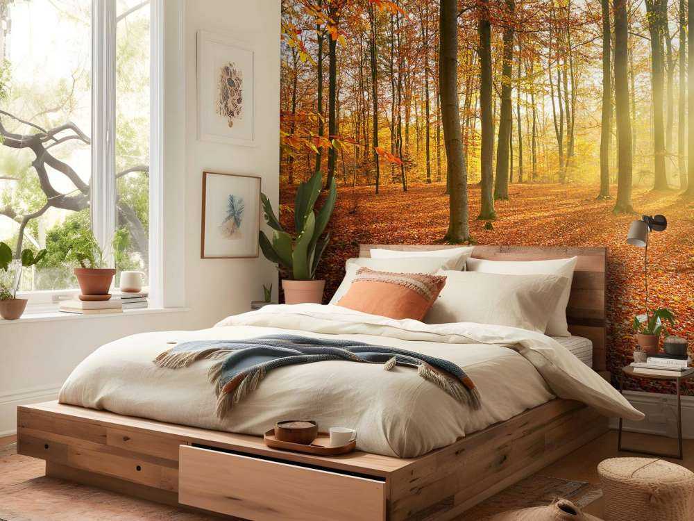 Jesienny poranek w lesie