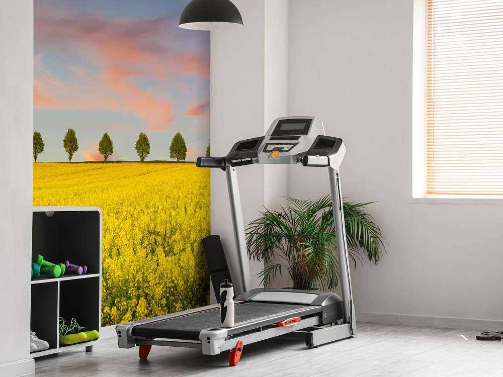 Pole pełne żółtych kwiatów