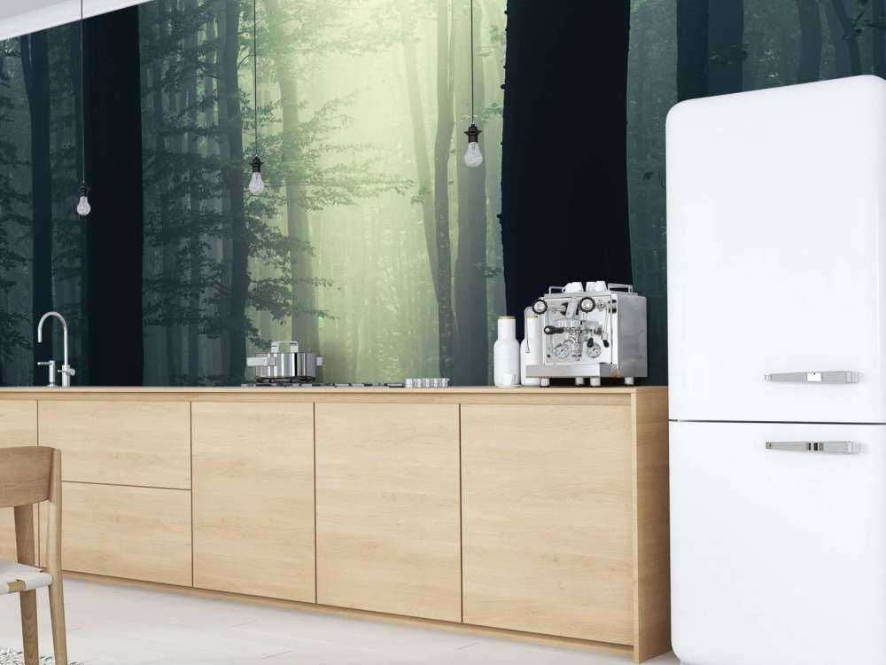 Promień słońca w lesie