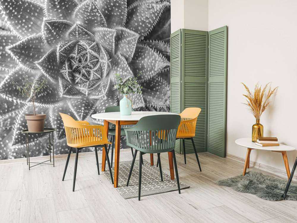 Sukulent w czerni i bieli