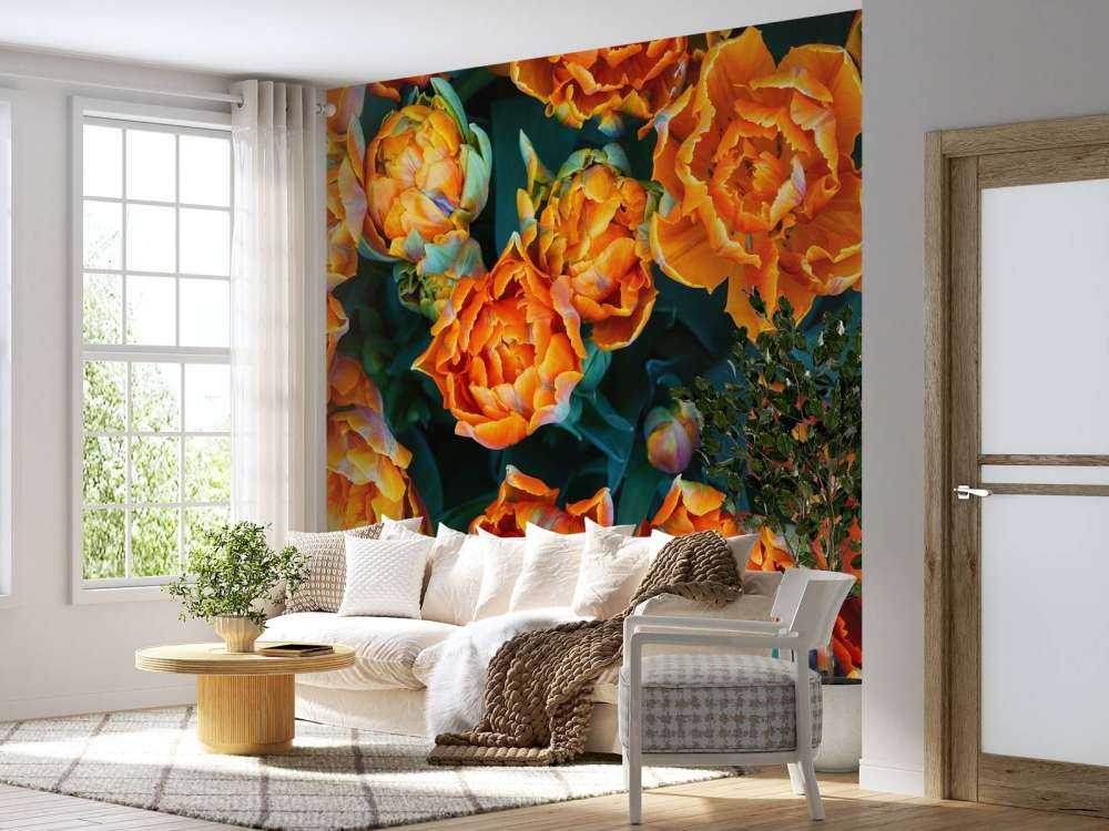 Zbliżenie na pomarańczowe tulipany