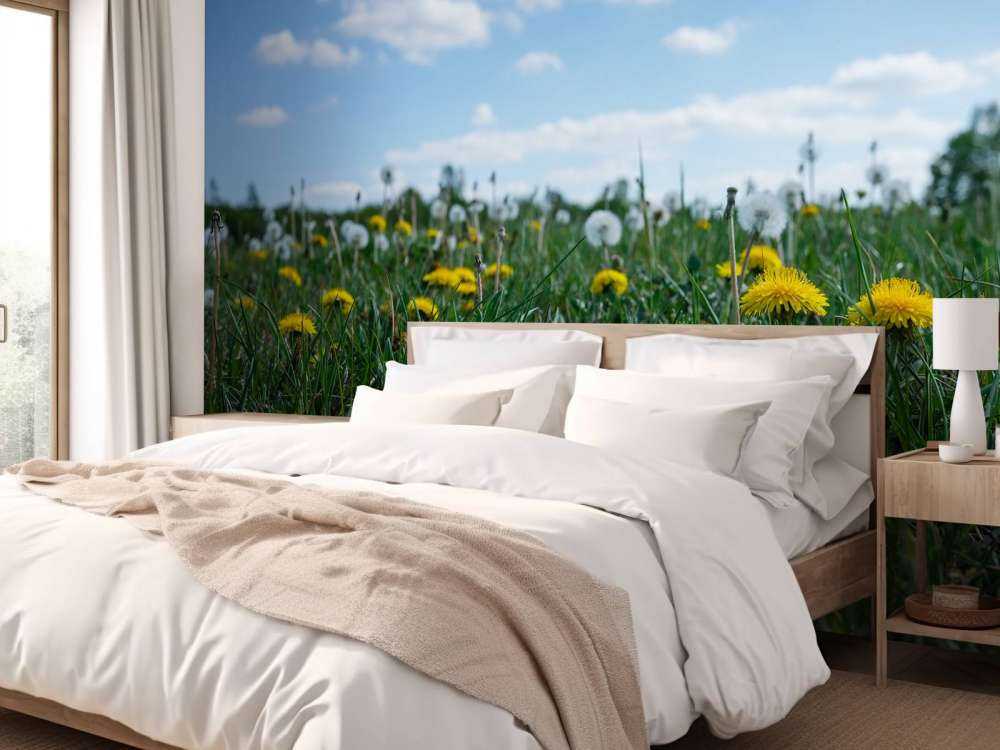 Żółte mniszki lekarskie