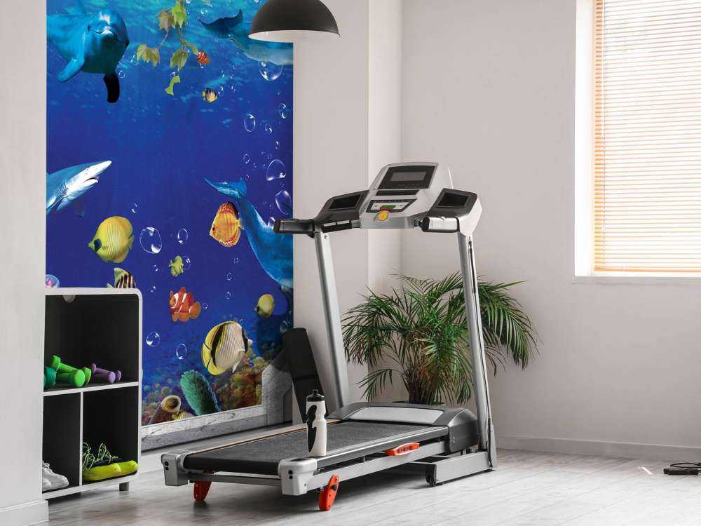 Delfiny przez ścianę