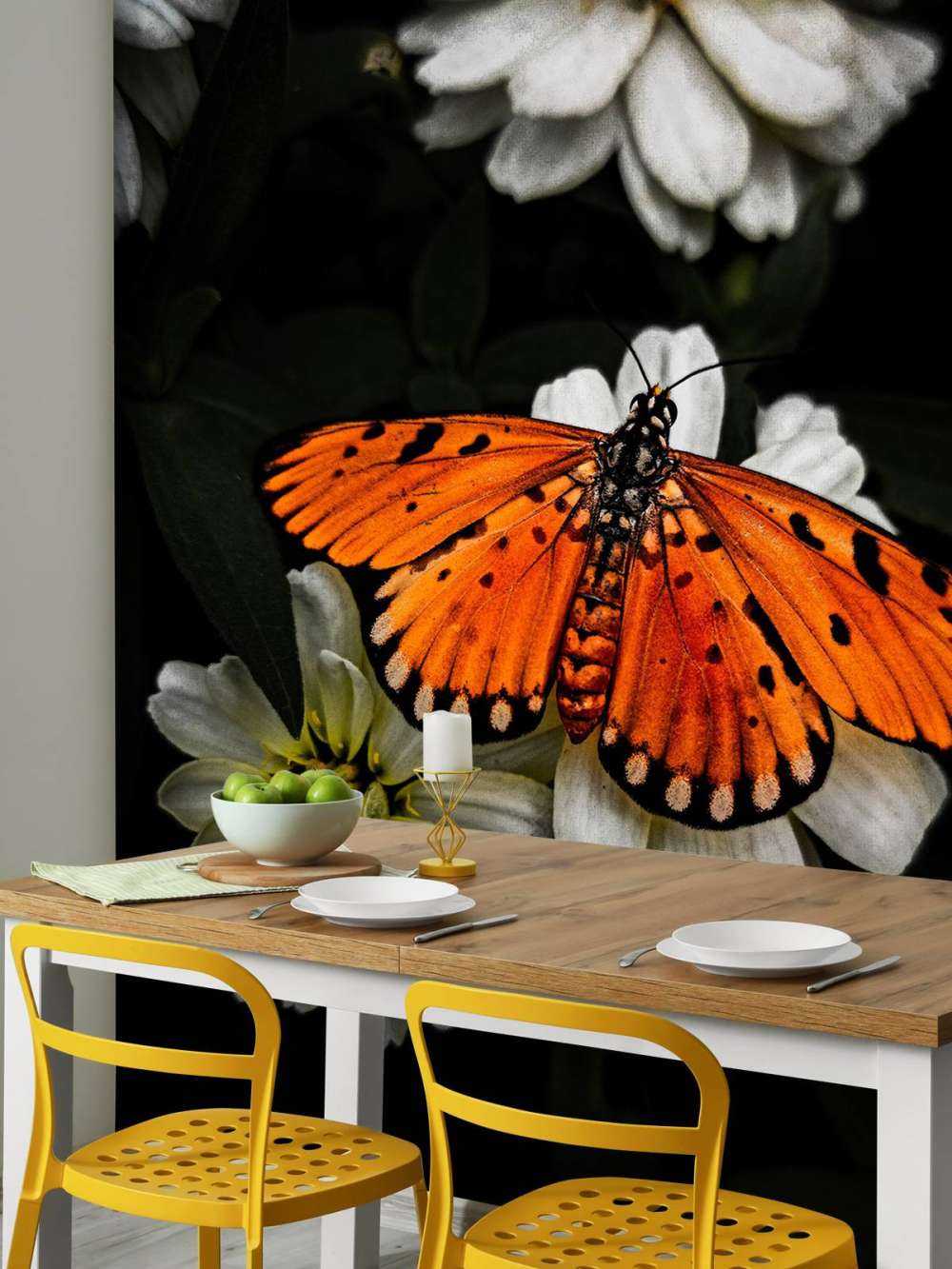 Motyl monarchy na kwiecie