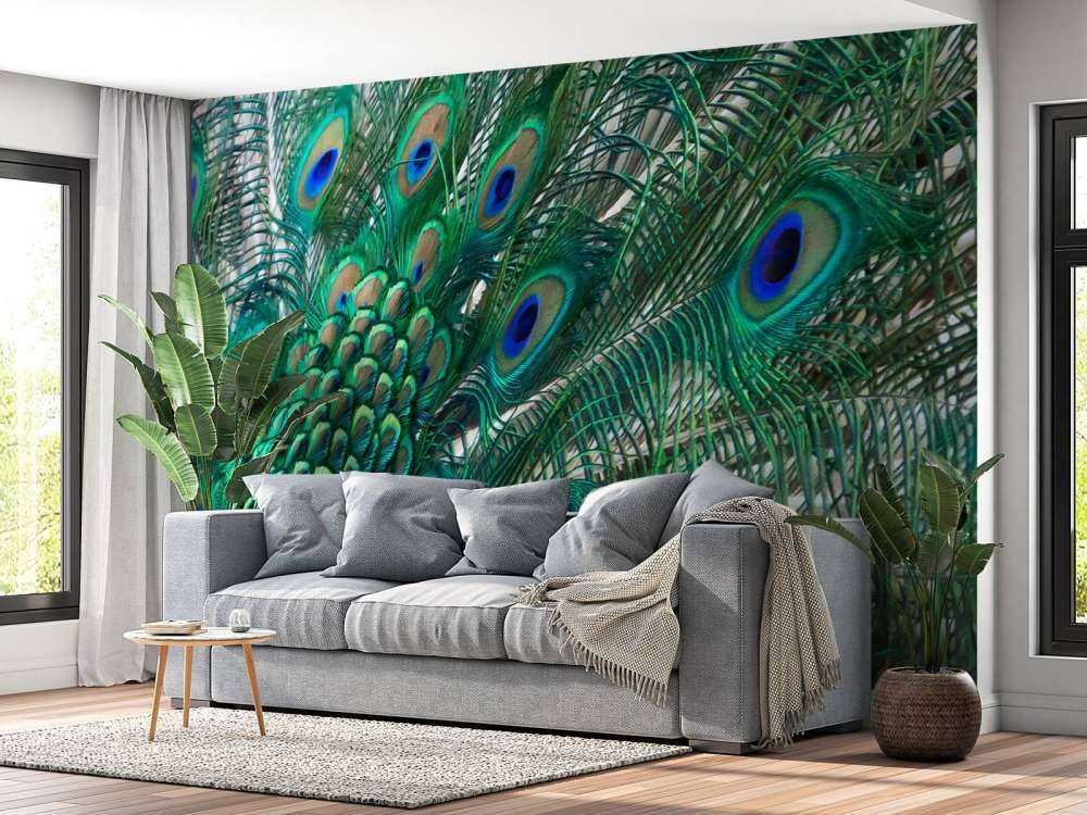 Kolorowe upierzenie pawia