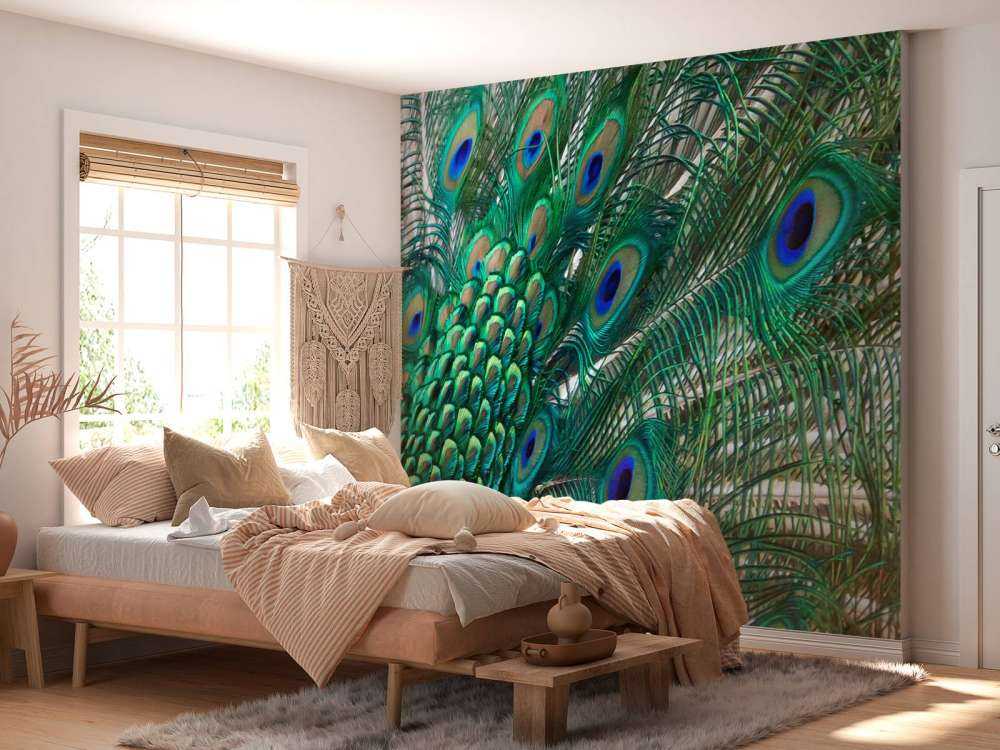 Kolorowe upierzenie pawia