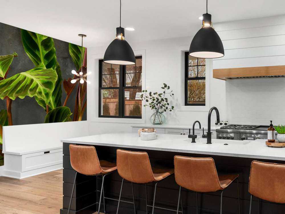 Roślina z pięknymi zielonymi liśćmi