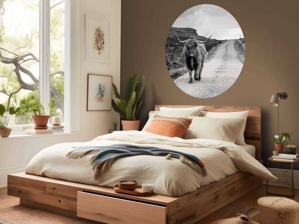 Szkocka rasa wyżynna na drodze