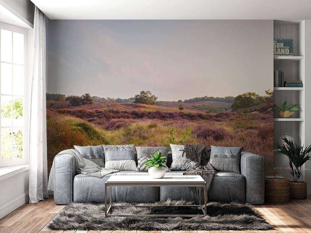 Heathland o wschodzie słońca