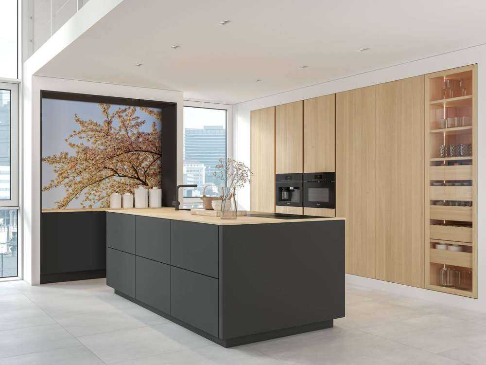 Gałąź kwitnąca w rozkwicie