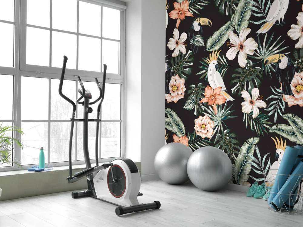 Tropikalny tukan i papuga