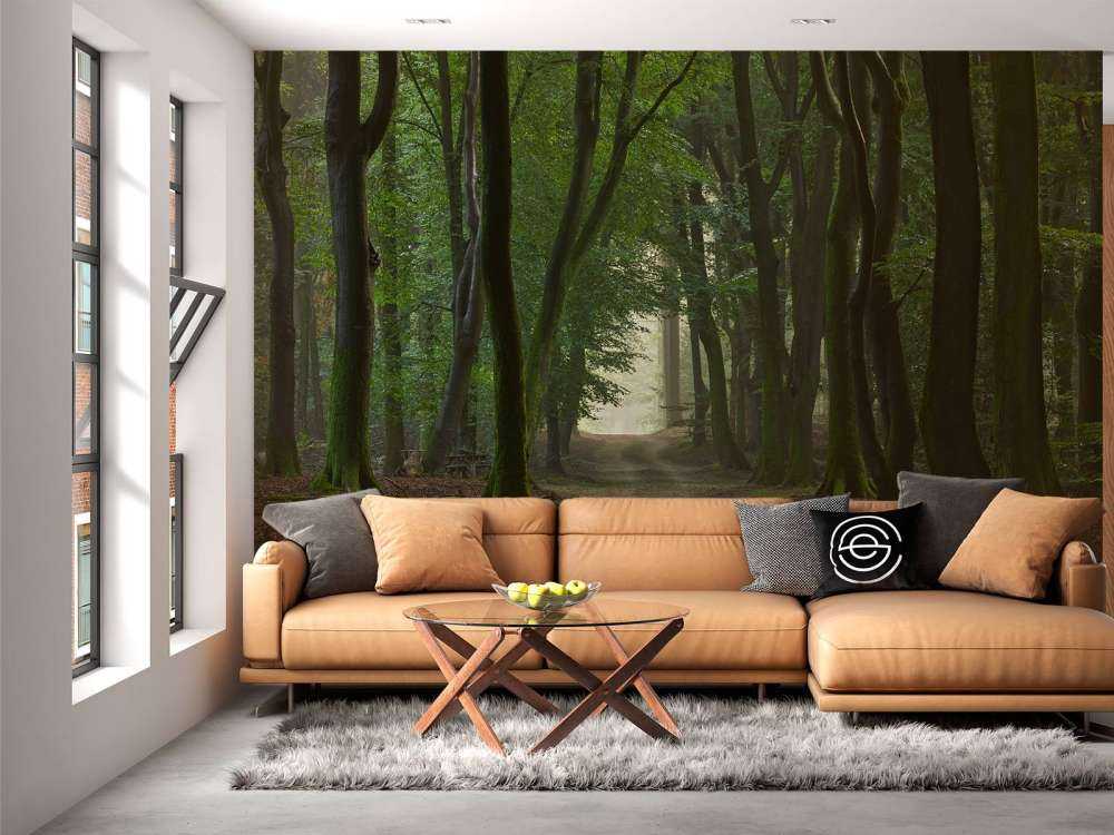 Droga piaskowa w lesie