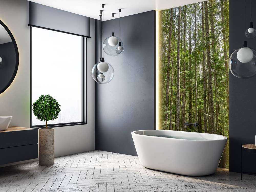 Cienkie drzewa w lesie