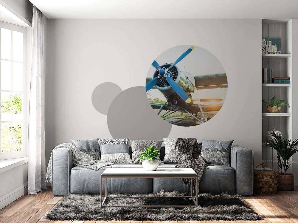 Mały jednosilnikowy samolot prywatny