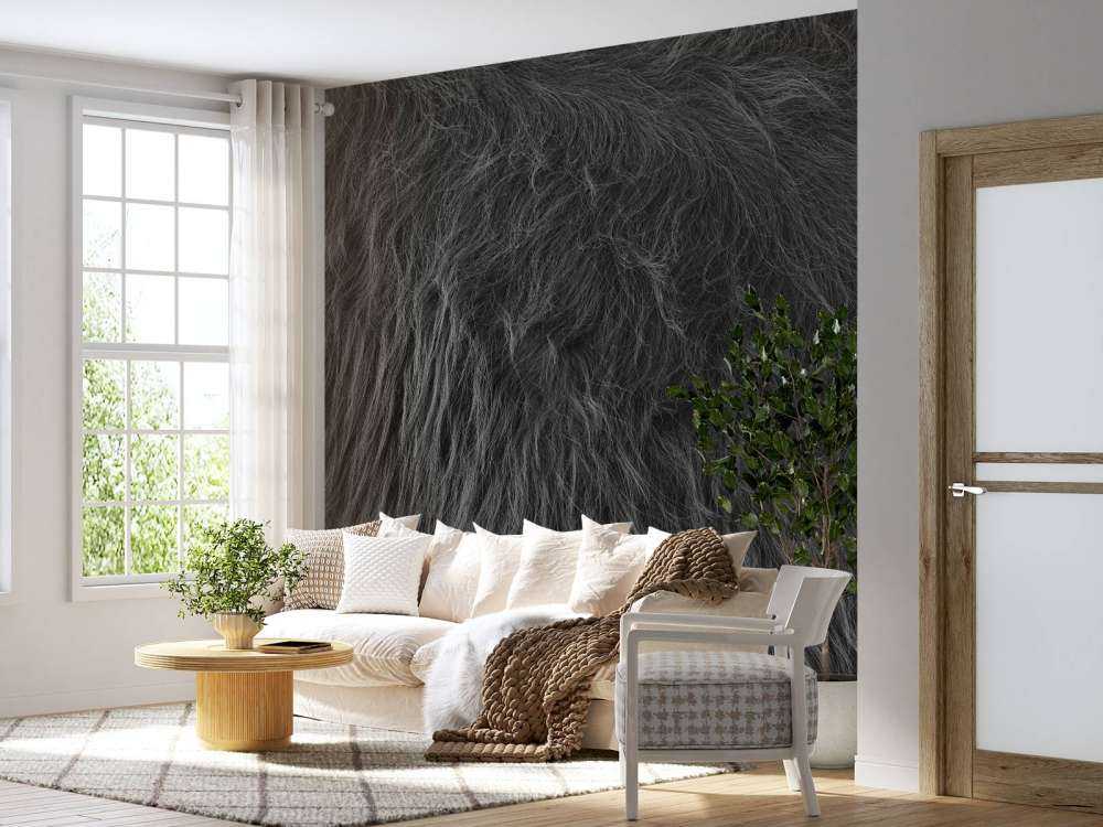 Sierść szkockiego wyżynna w kolorach czarno-białym