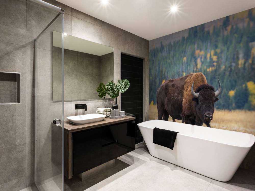 Bawół amerykański