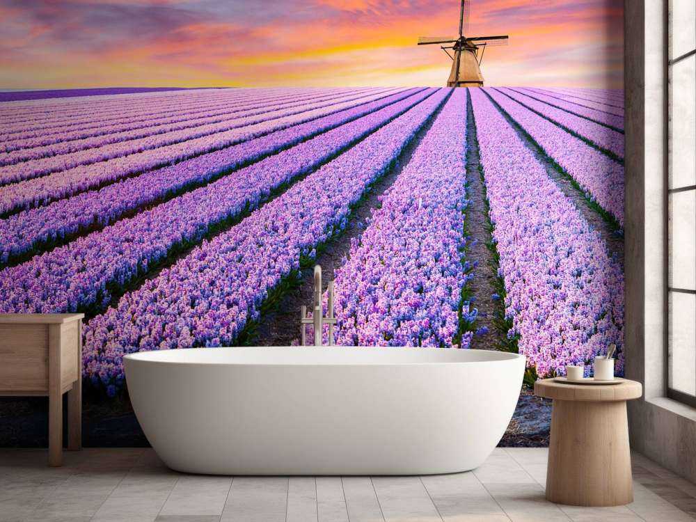 Szafirek Niebieski Muscari