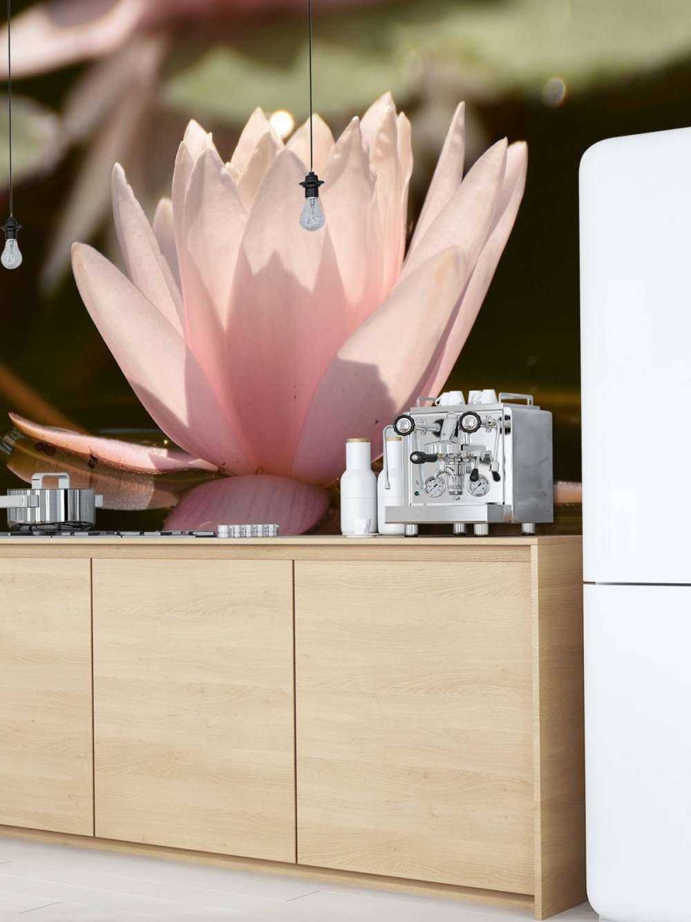 Kwiat lotosu w wodzie