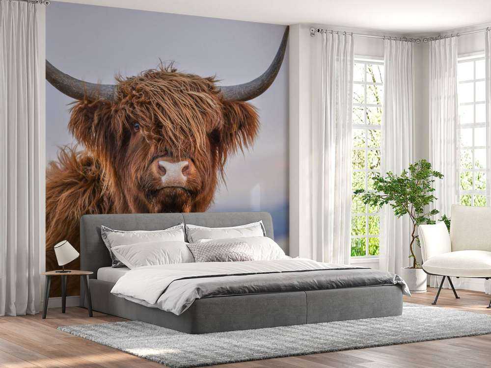 Szkocki wyżyn w roli głównej