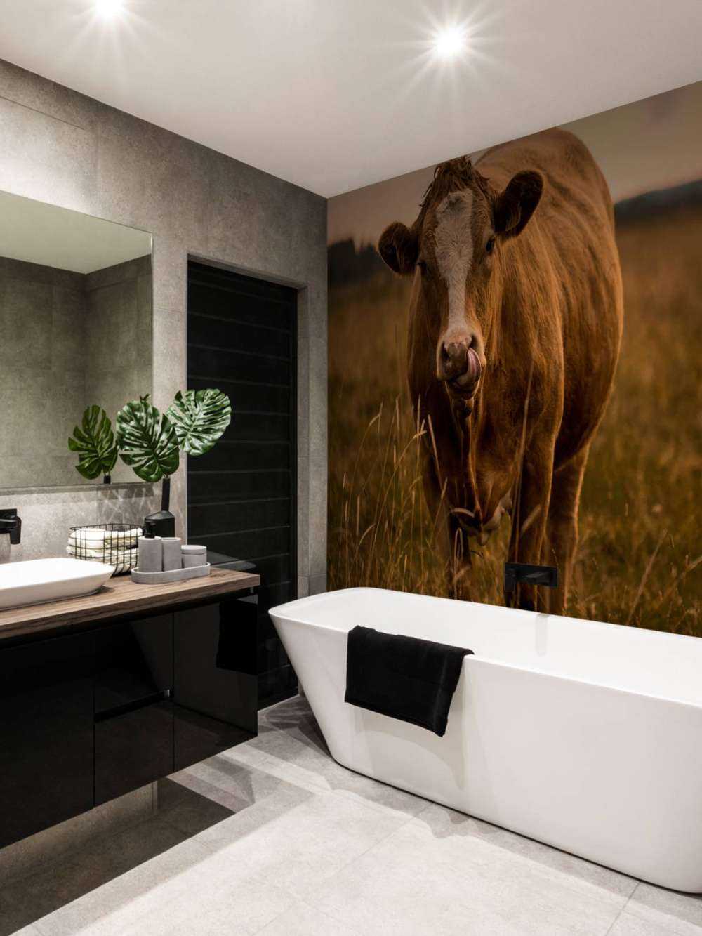 Krowa z językiem w nosie