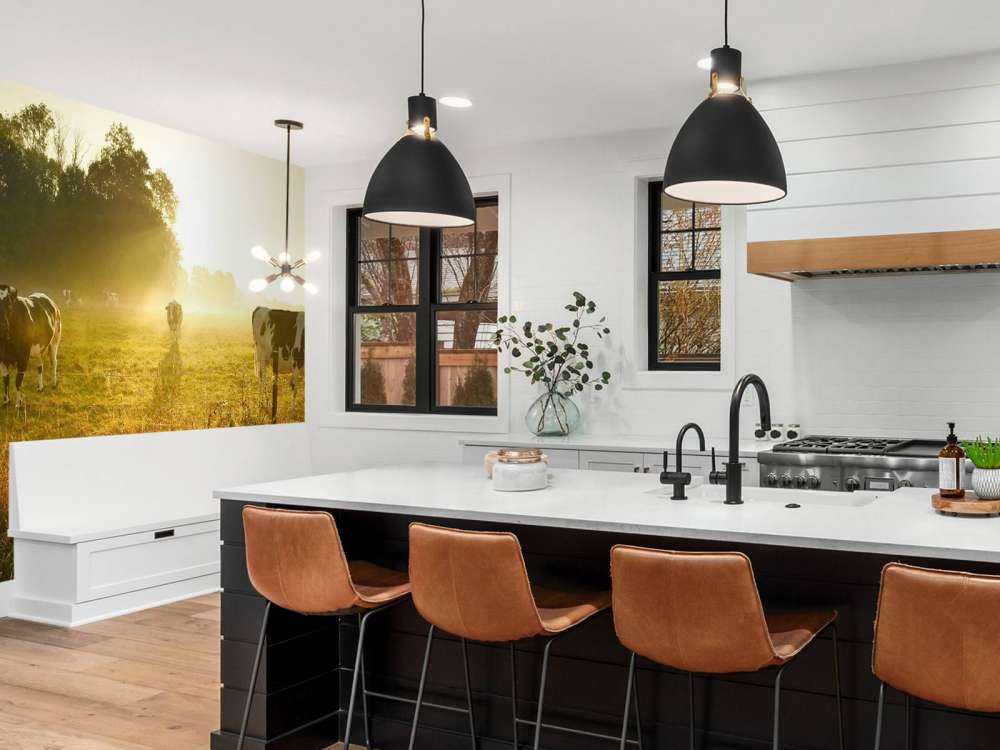 Krowa o wschodzie słońca