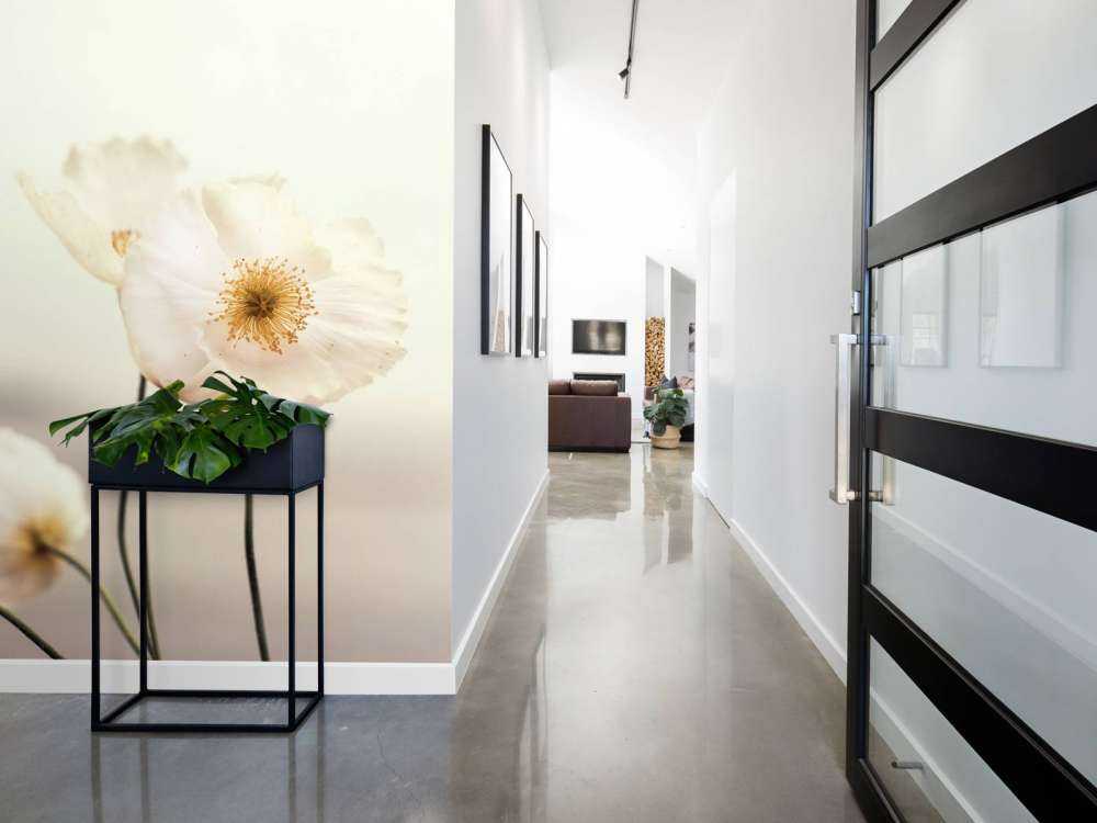 Białe maki w zbliżeniu