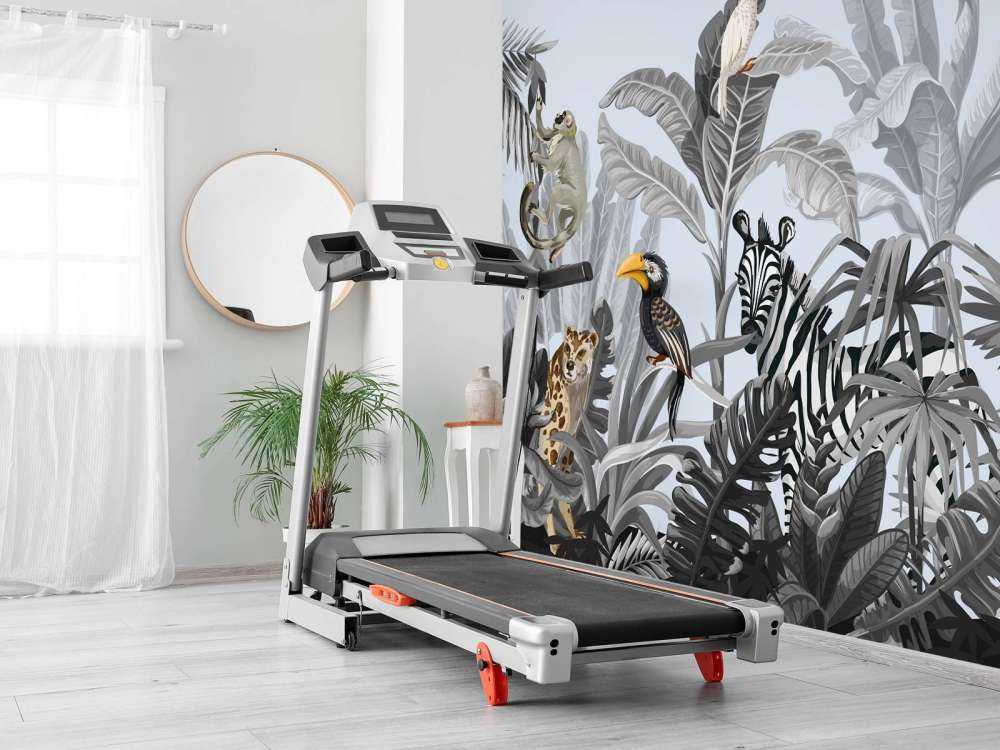 Dżungla pełna zwierząt