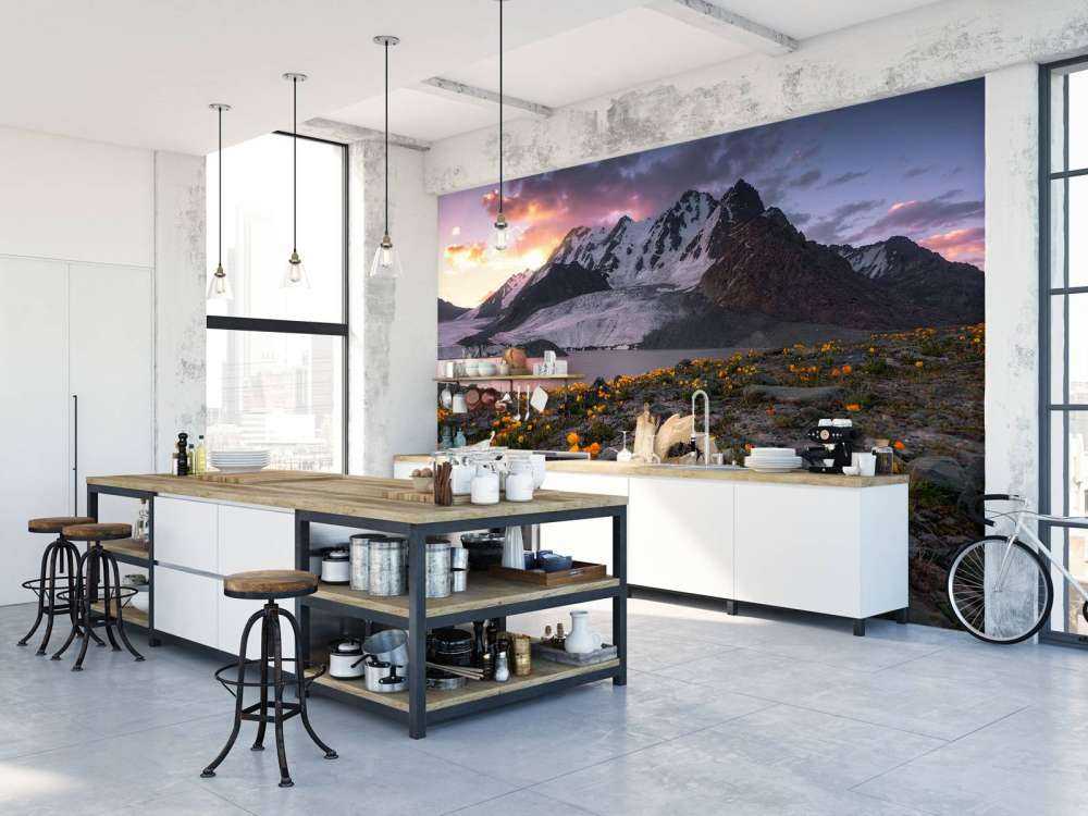 Morning at Saussurea